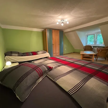 Urlaub Auf Dem Alpakahof Nähe Velgast