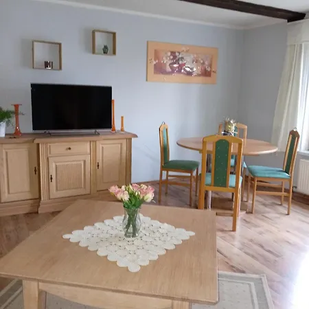 Urlaub Auf Dem Alpakahof Nähe