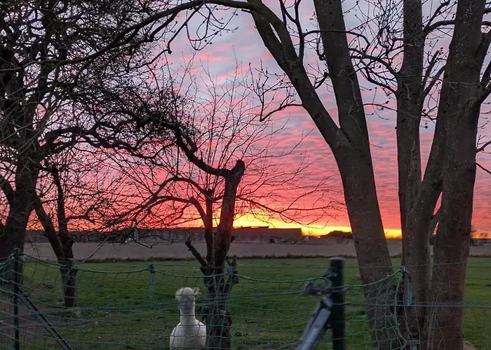 شقة Urlaub Auf Dem Alpakahof Naehe Velgast